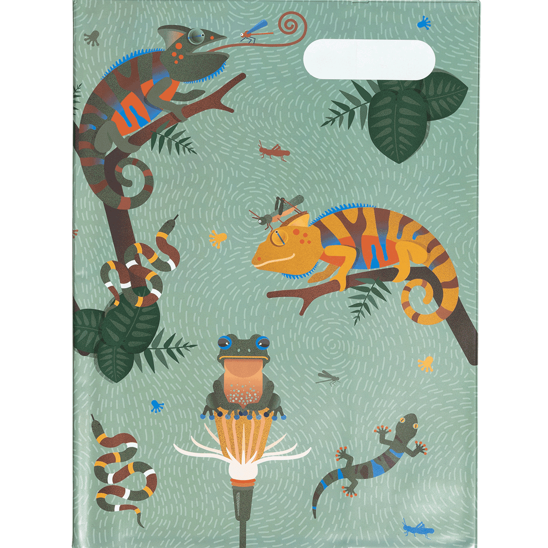 scrapbook-school-book-cover-rainforest-the-small-folk