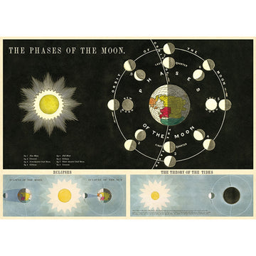 vintage-style poster - moon phases