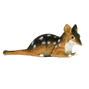 small quoll