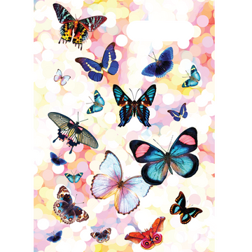a4 school book cover; butterflies