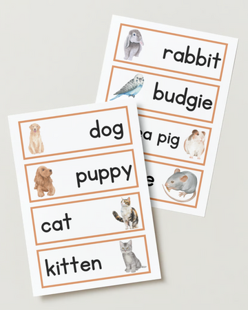 vet clinic word cards - set of 24 (digital download)