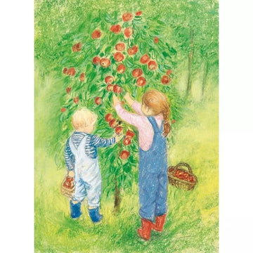 harvesting apples postcard