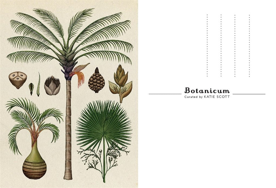 botanicum postcards