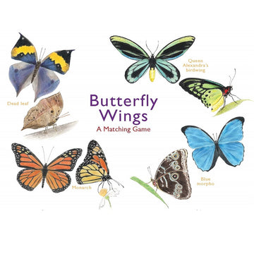 butterfly wings; a matching game