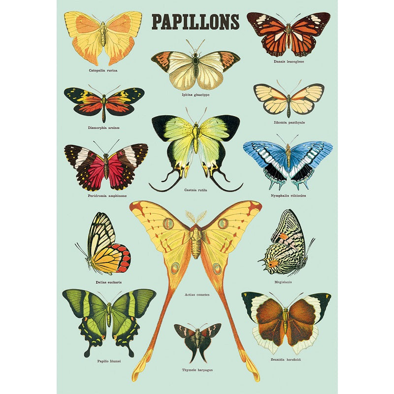 vintage-style poster - papillons