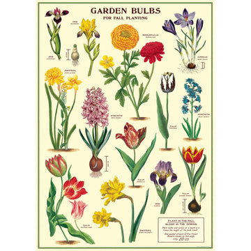 vintage-style poster - garden bulbs
