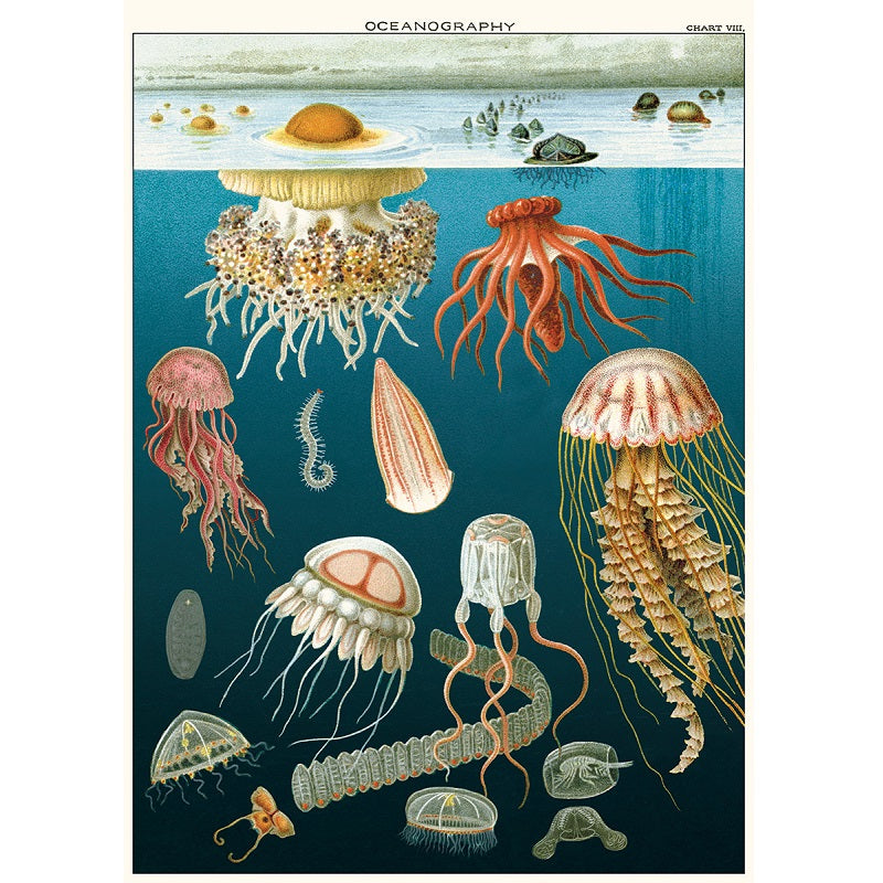 vintage-style poster - jellyfish