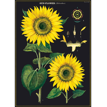 vintage-style poster - sunflower