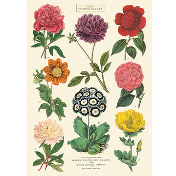 vintage-style poster - botanica