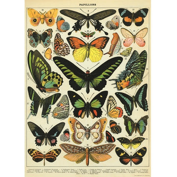 vintage-style poster - butterfly