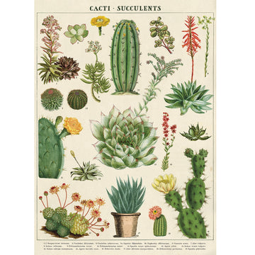 vintage-style poster - cacti