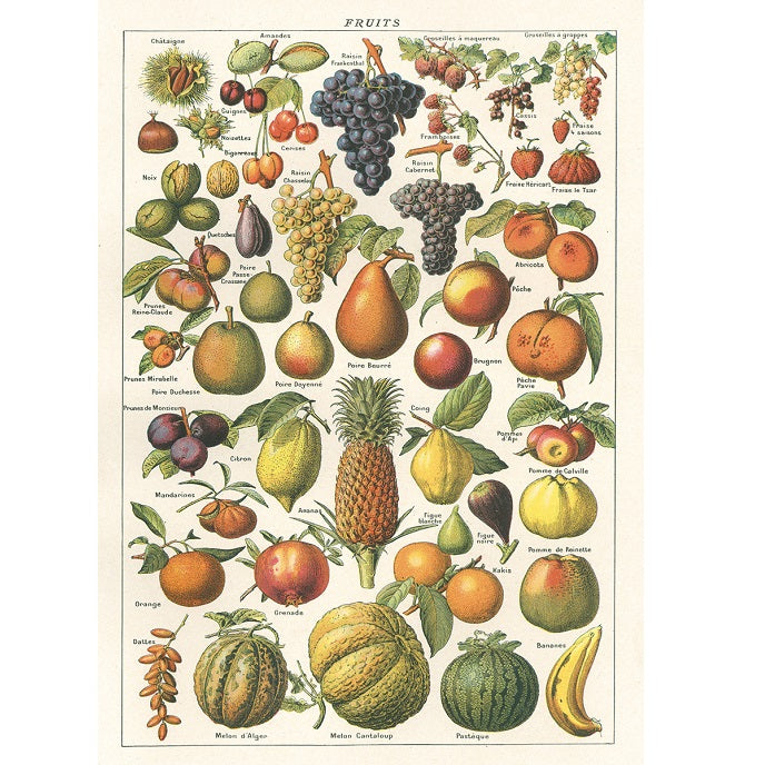 vintage-style poster - fruit