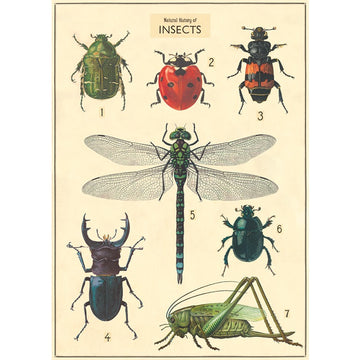 vintage-style poster - insects