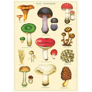 vintage-style poster - mushrooms