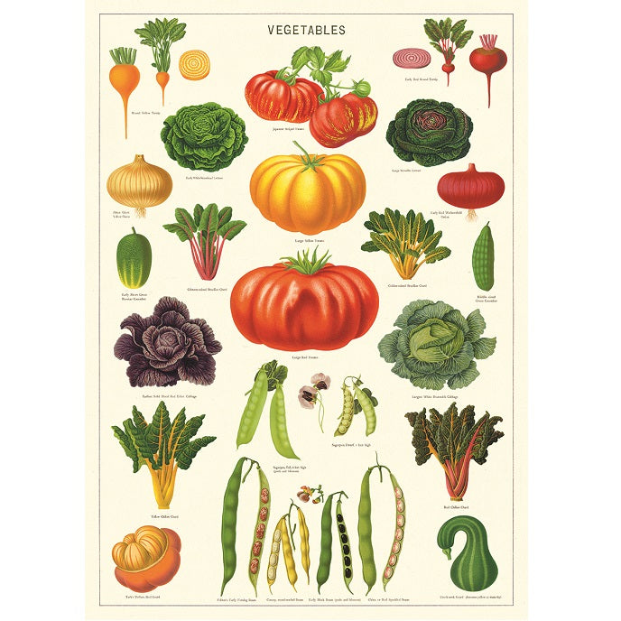 vintage-style poster - vegetables