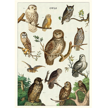 vintage-style poster - owls