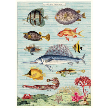 vintage-style poster - tropical fish