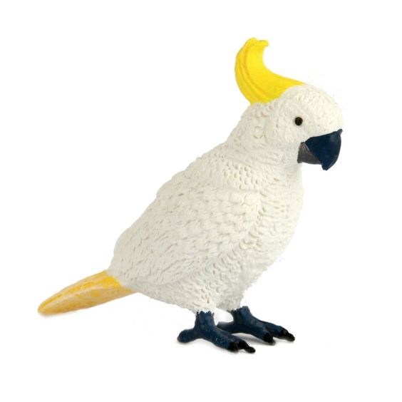 small cockatoo