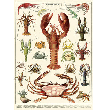 vintage-style poster - crustaceans
