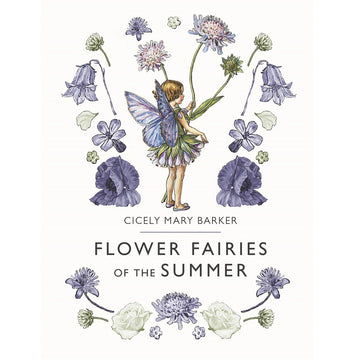 flower fairies of the summer