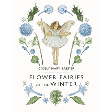 flower fairies of the winter