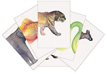 heads and tails animal match-it cards
