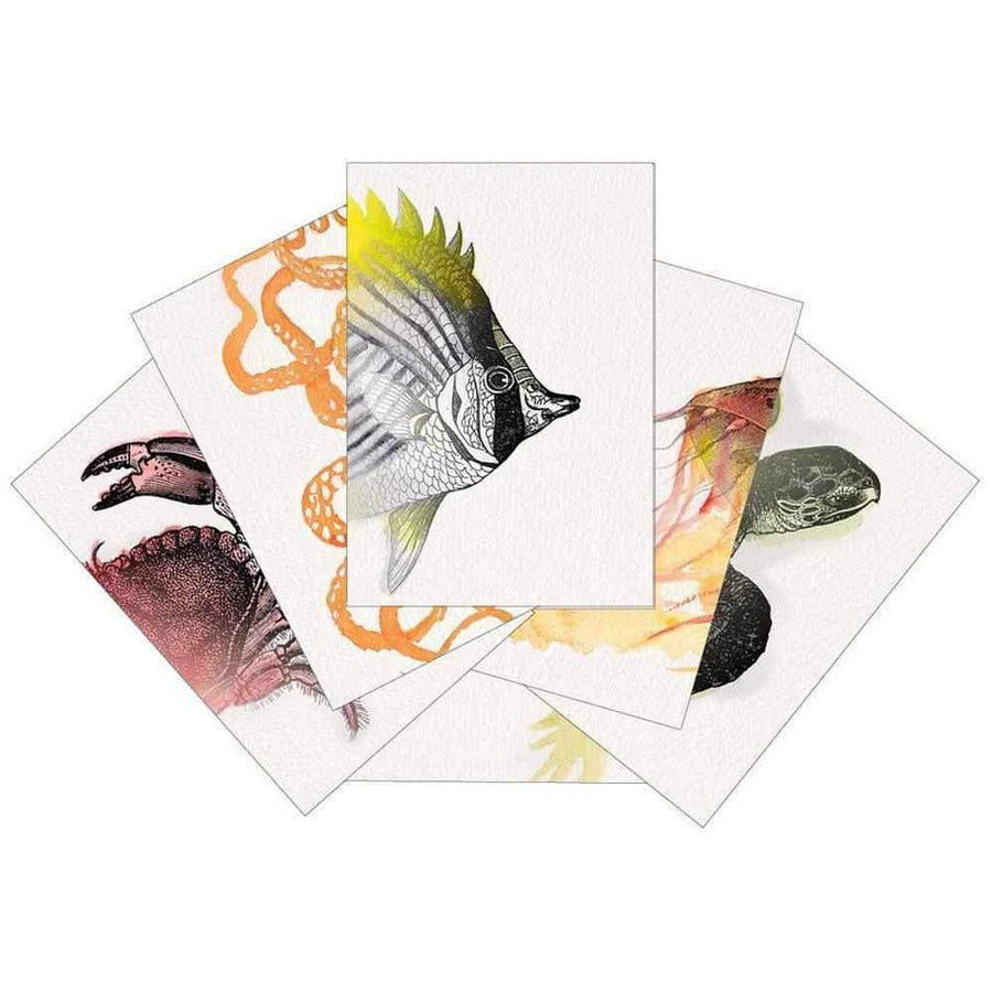 heads and tails underwater match-it cards