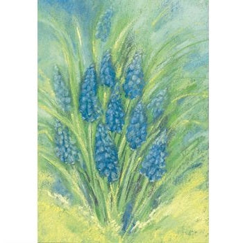 hyacinth postcard