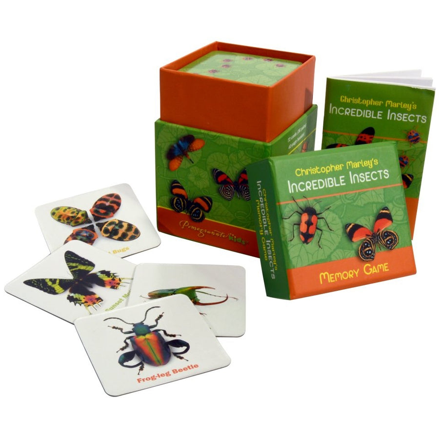 incredible insects memory game