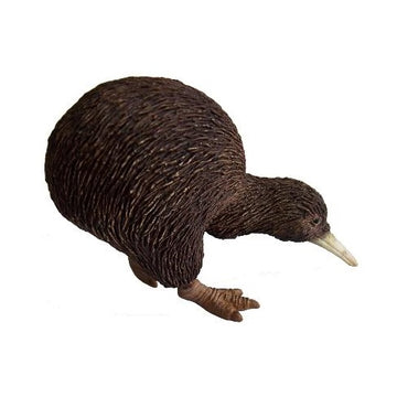 small kiwi