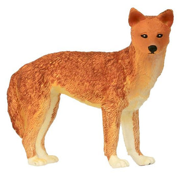 large dingo