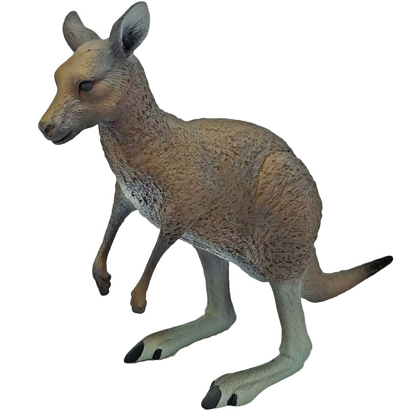 large kangaroo