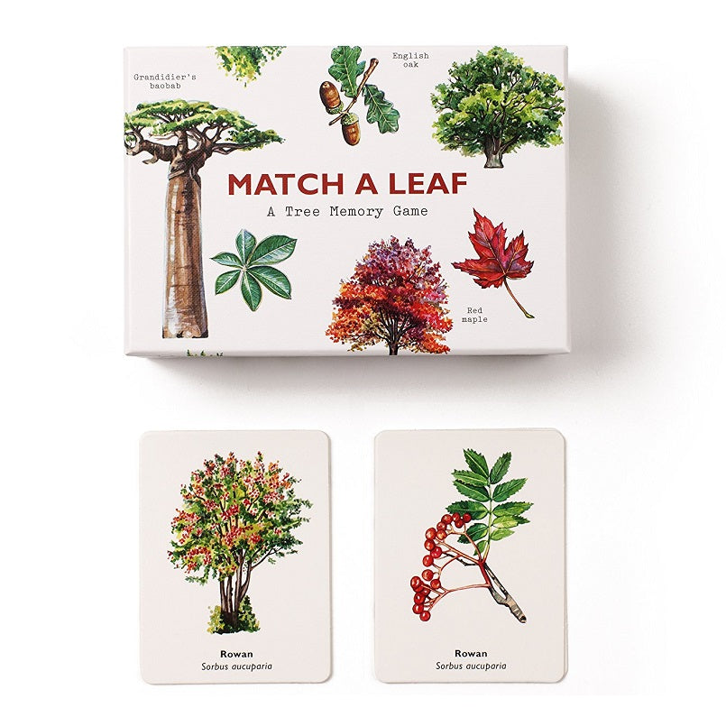 match a leaf memory game