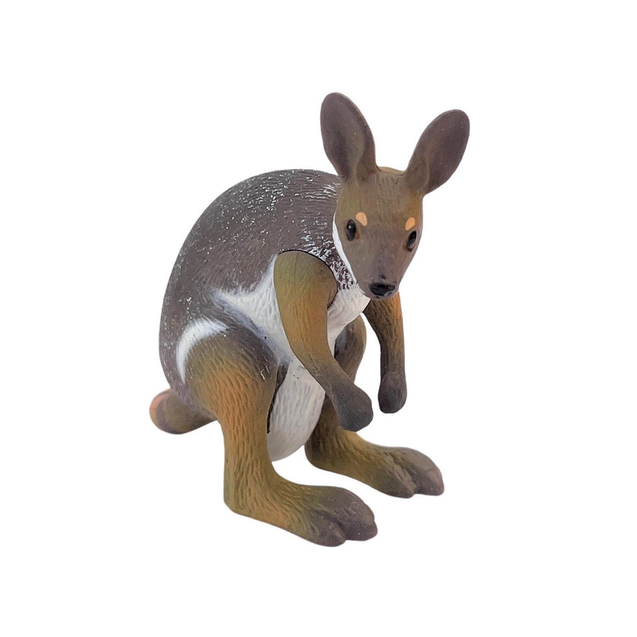small rock wallaby