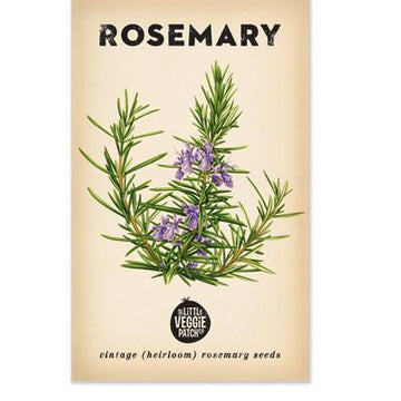 rosemary seeds