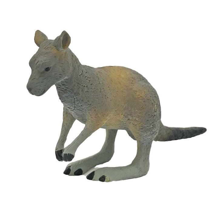 small kangaroo