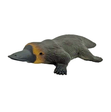 small platypus
