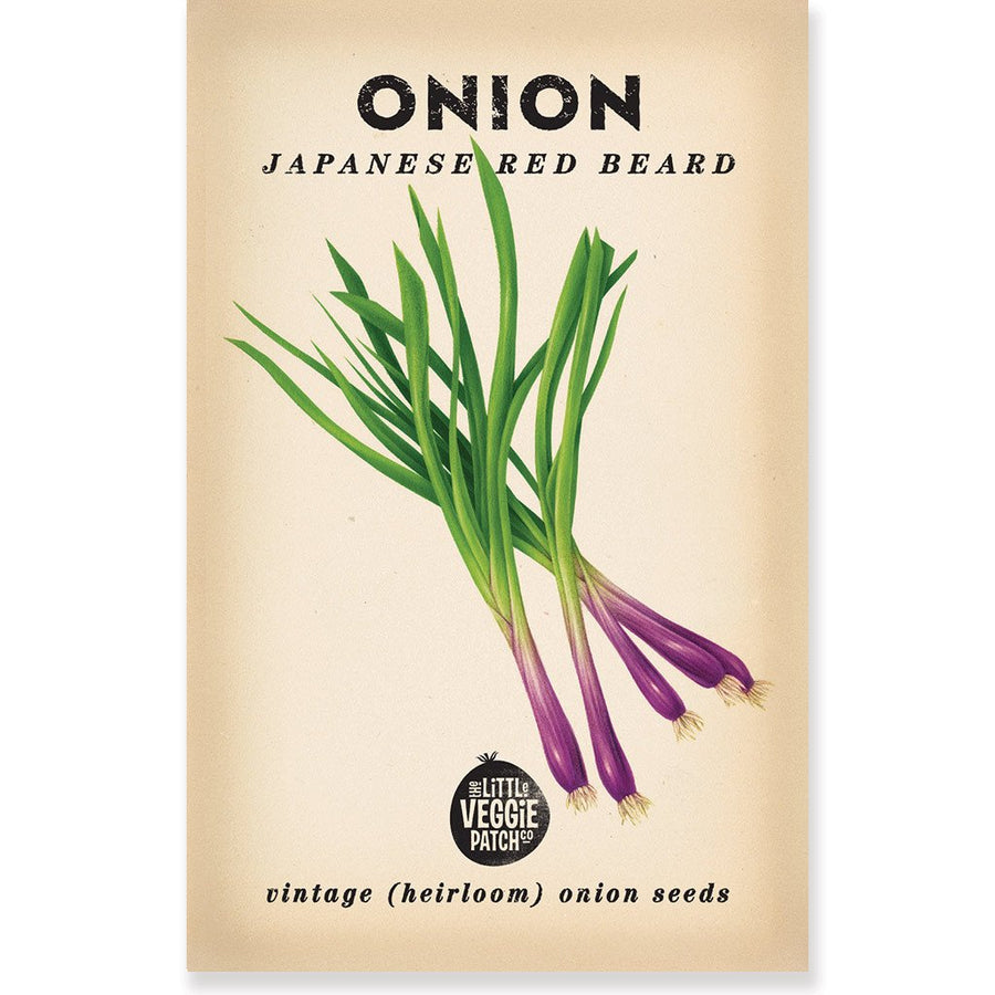 onion red beard seeds