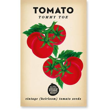 tomato - tommy toe seeds