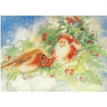 winter robin postcard