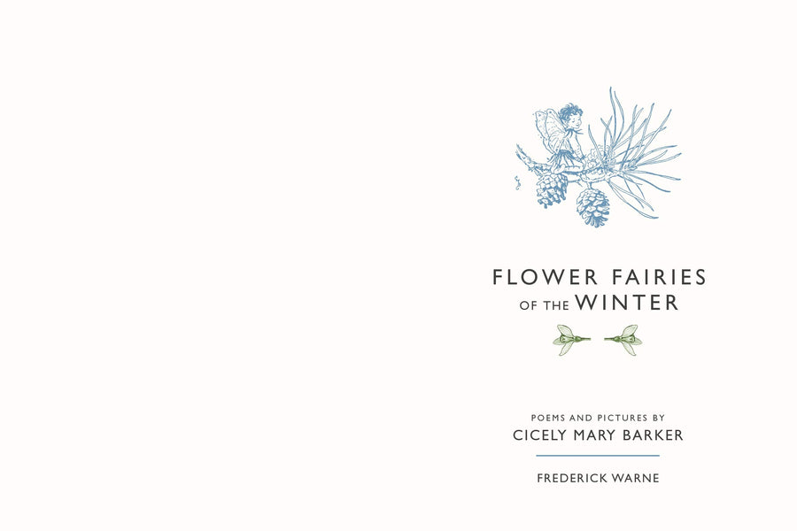 flower fairies of the winter