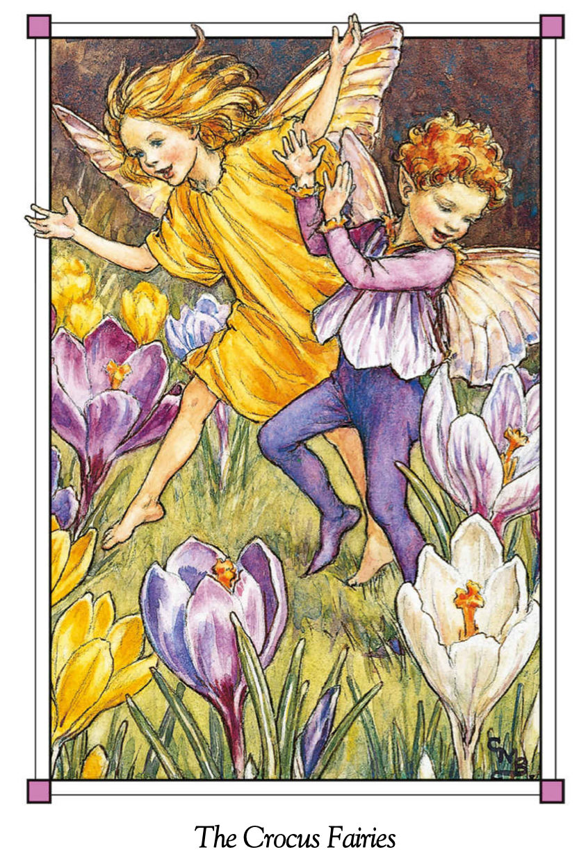 flower fairies of the spring